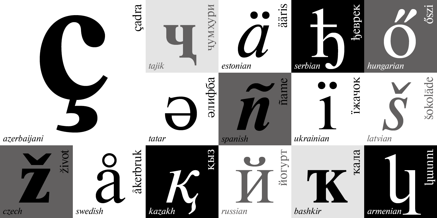 Newton Bold Italic Font preview